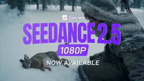 Seedance 2.5 1080P 30%OFF