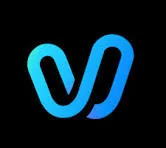 Vidu