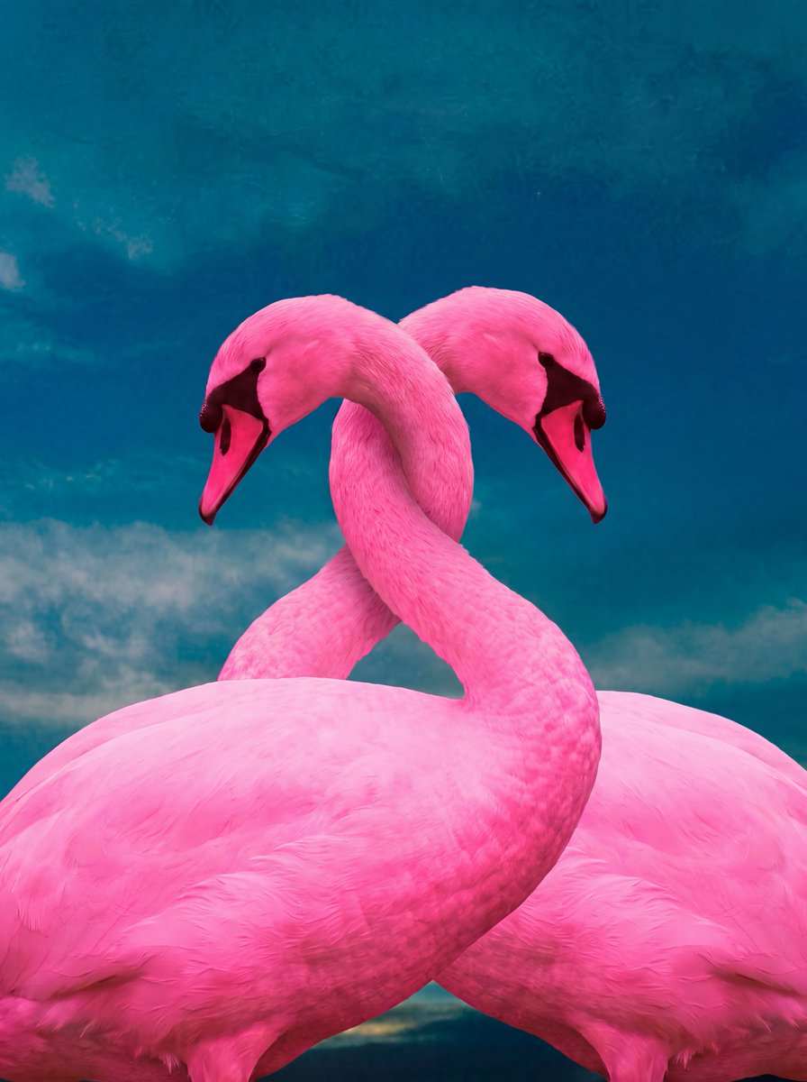 Prompt: Surreal Photorealistic Image Synthesis