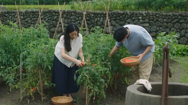 "Little Forest" Countryside Cooking