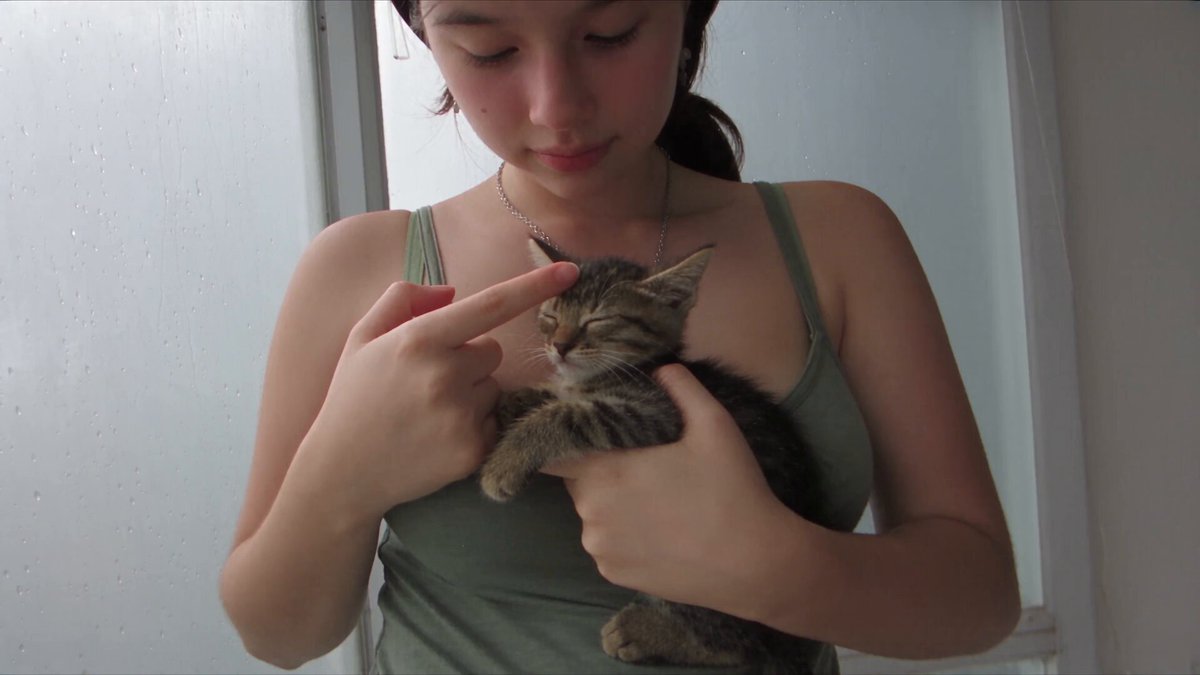 Rainy Day Kitten Selfie