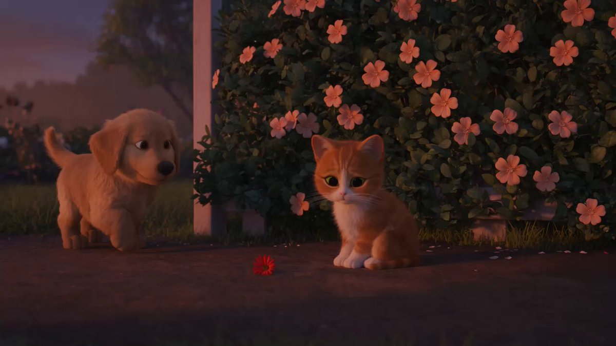 Wholesome Puppy and Kitten Story
