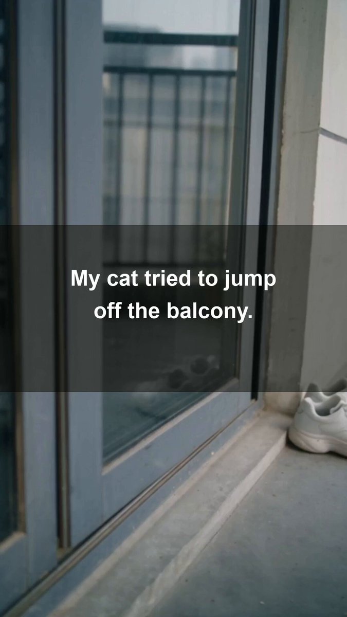 Cat Balcony Safety Project