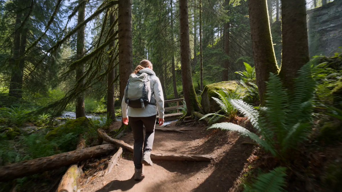 Mountain Forest Waterfall Hike Documentary