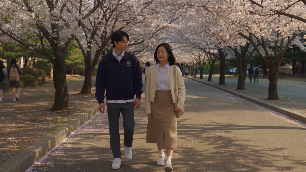 Romantic Korean Cherry Blossom Confession