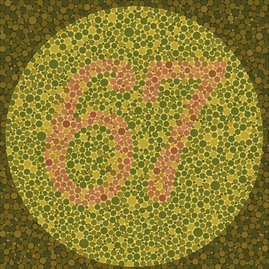 Ishihara Color Blindness Test Plate