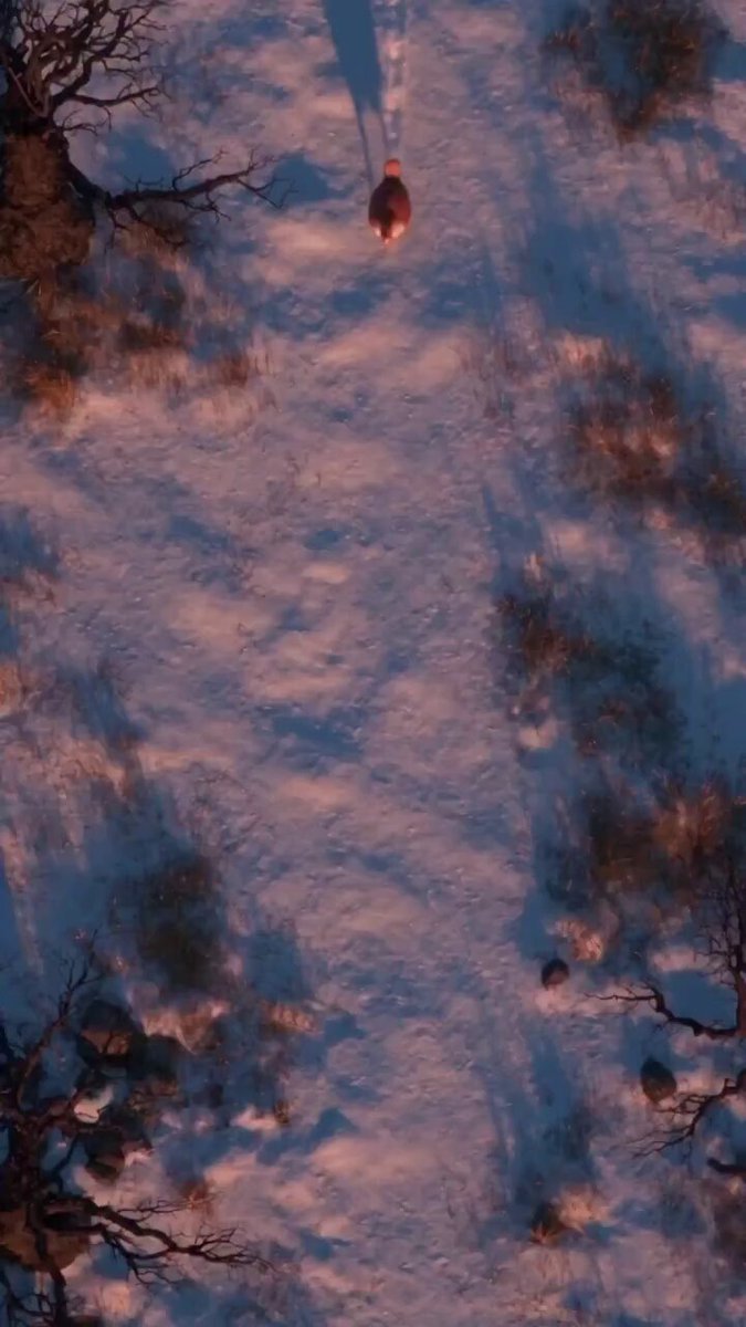 Prehistoric World Fantasy Short Film