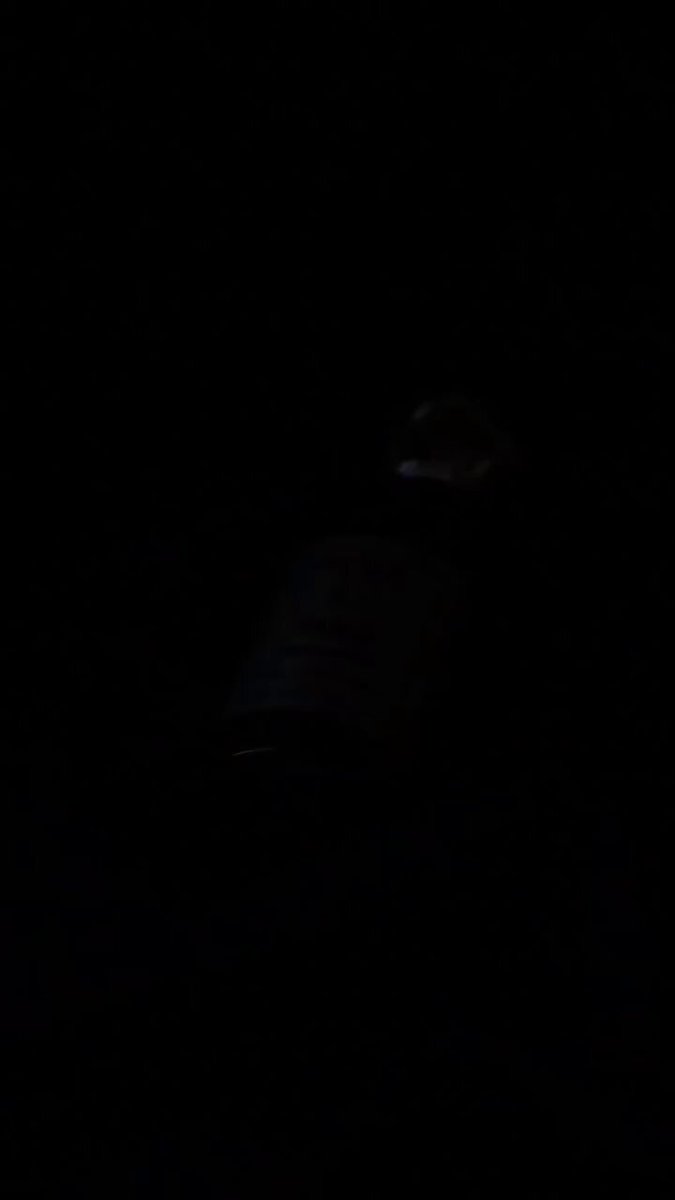 Luxury Perfume Commercial