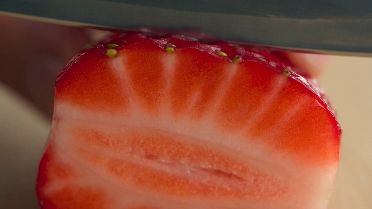 High-End Baker Commercial