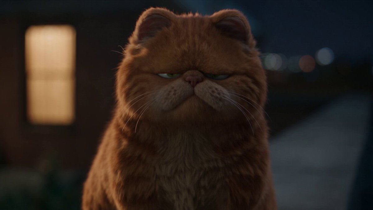 Funny Cats Roasting Session