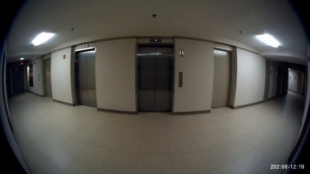 Surveillance Footage Anomaly Script