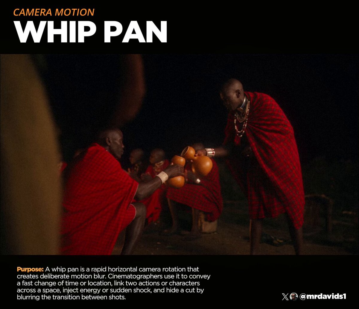 Whip Pan Camera Movement AI Video